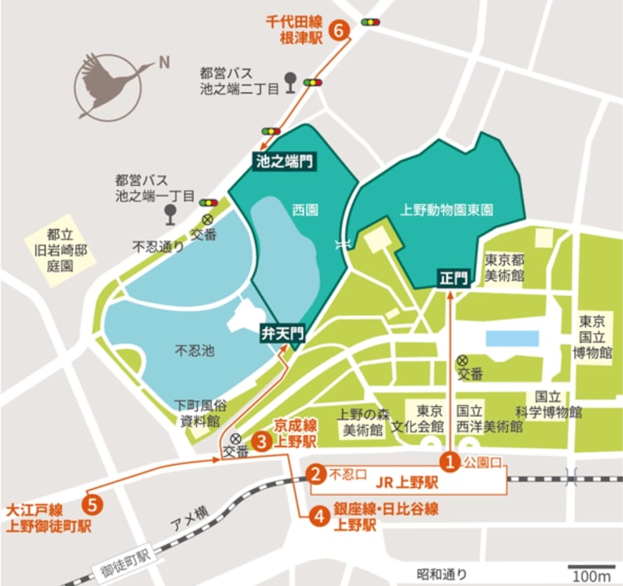 東京上野親子景點|上野動物園動物看到飽、上野恩賜公園散步